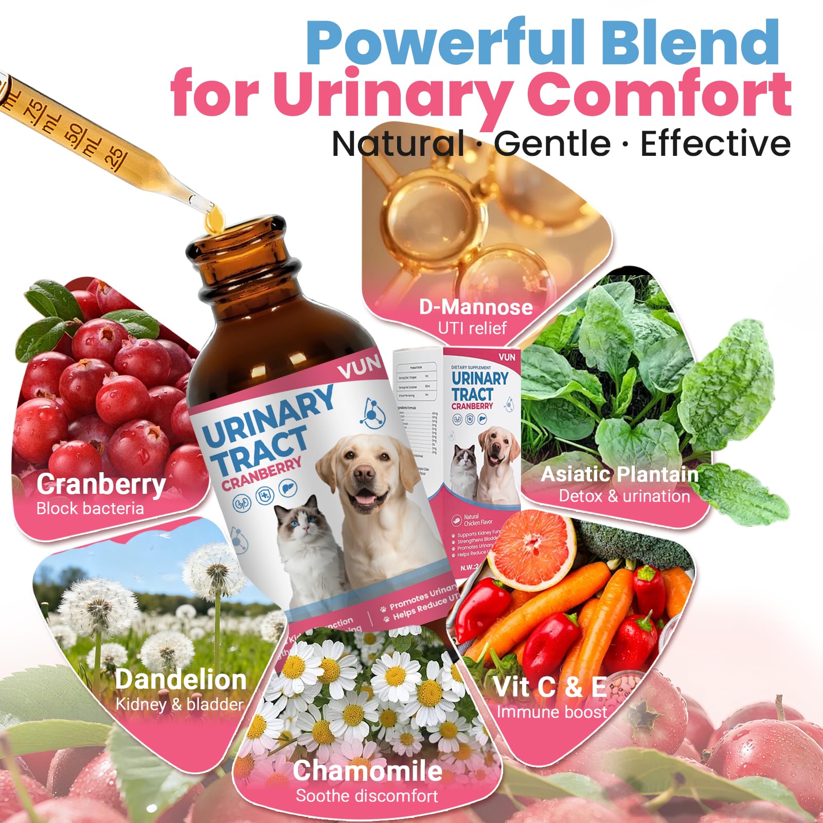 VUN cat and dog uti drops being mixed with food for daily urinary support.