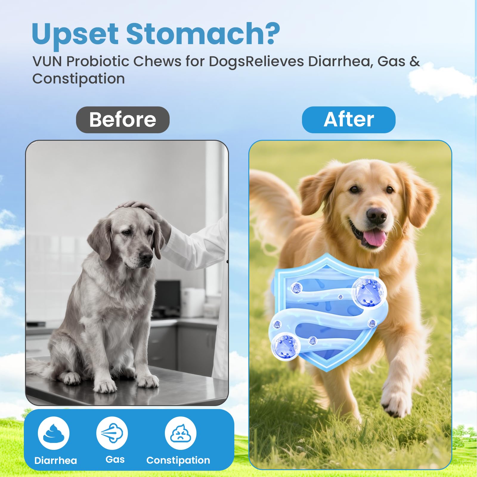 VUN Probiotics for Dogs prebiotics-digestive-enzymes help with nutrient absorption and digestion.