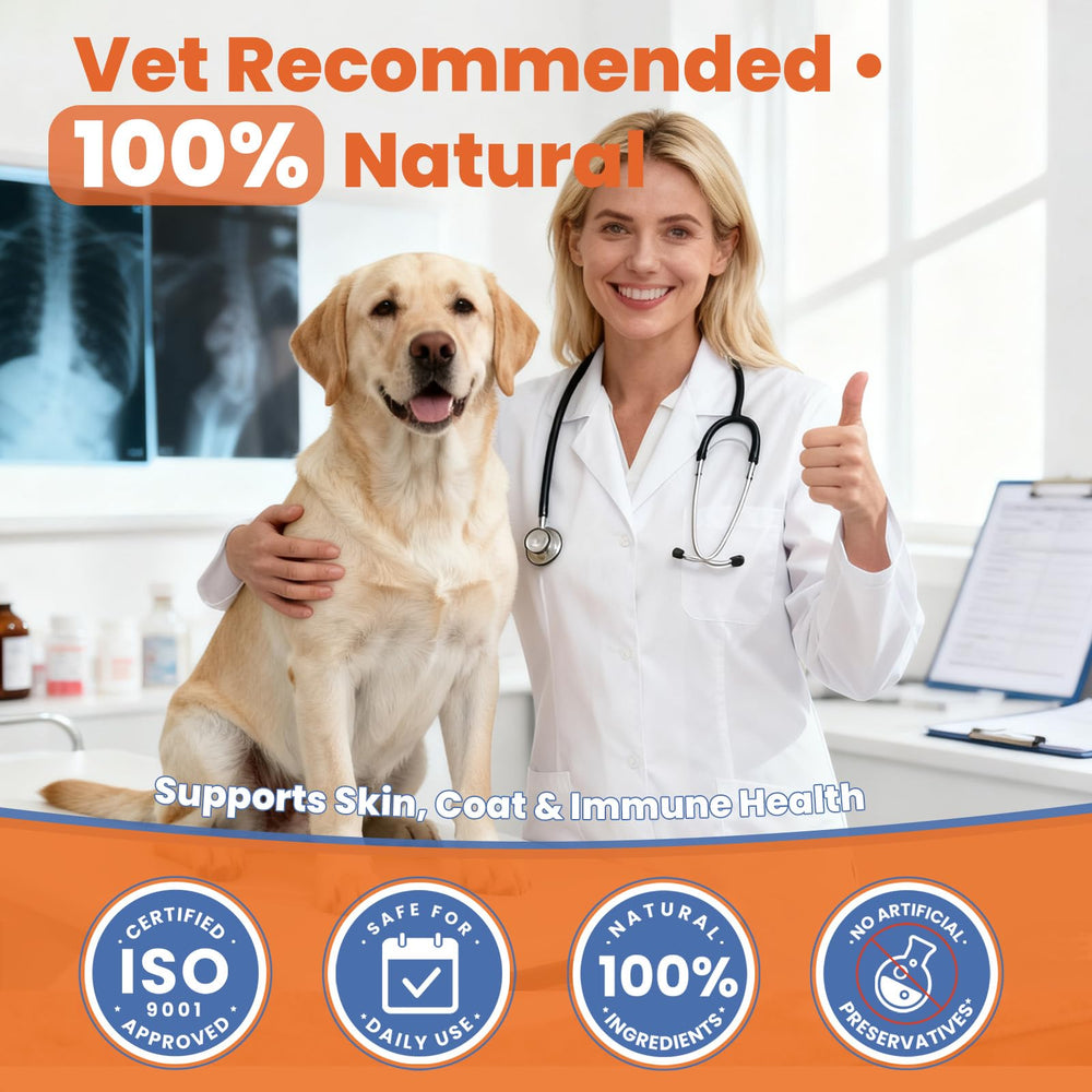 VUN Vet-recommendation label image reinforces trusted daily nutrition support for dogs.