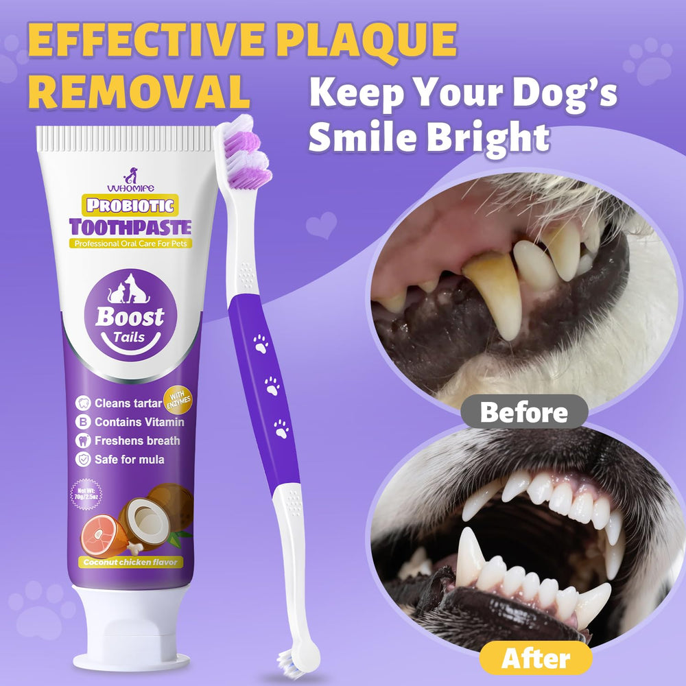 VVHOMIFE progress card demonstrates whitening progress for dogs