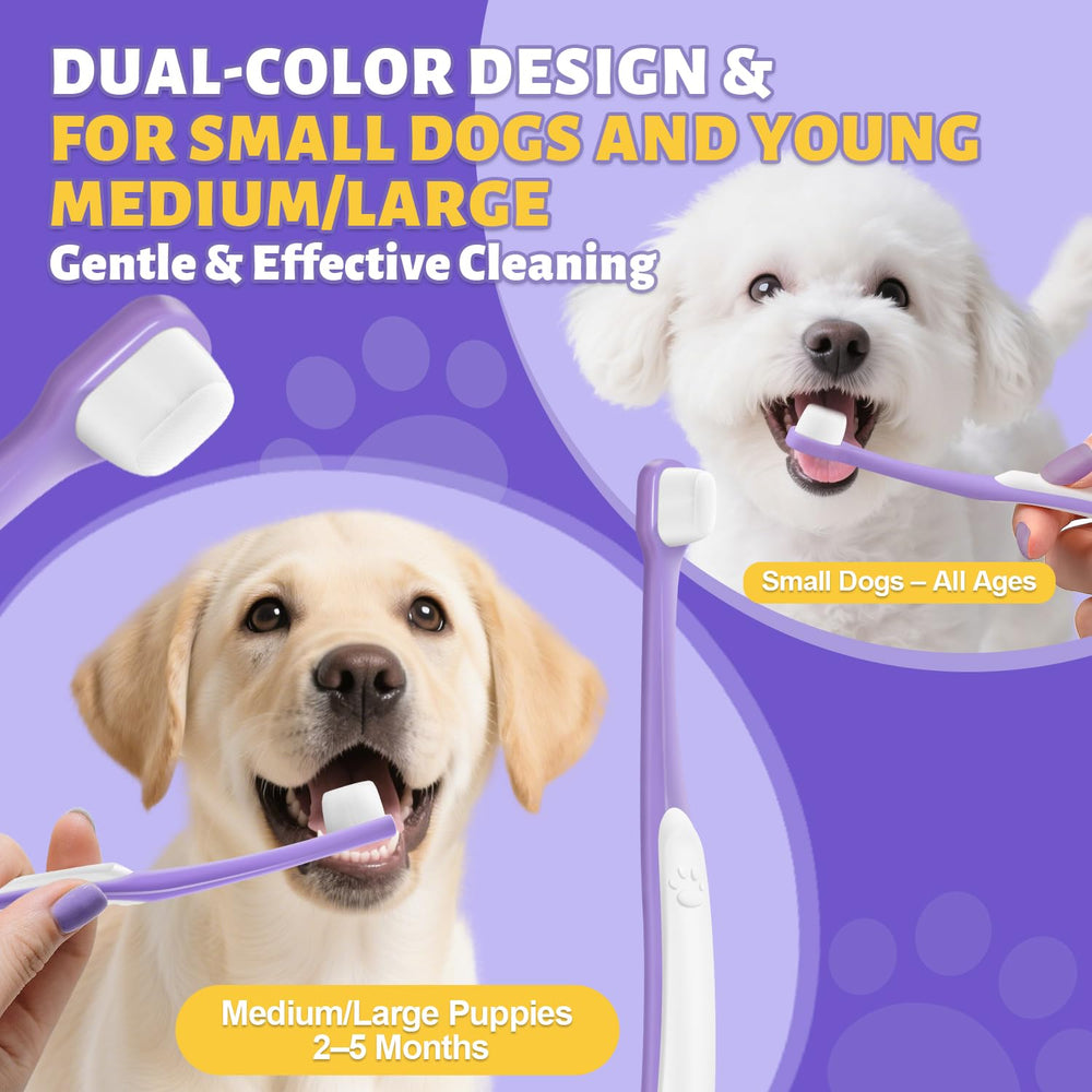 VVHOMIFE small-dog dental care kit helps maintain fresher breath at home.