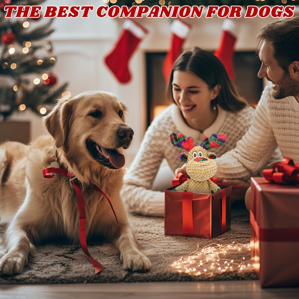 VWPTCHI holiday gift dog toy ideal for festive photos and playtime.