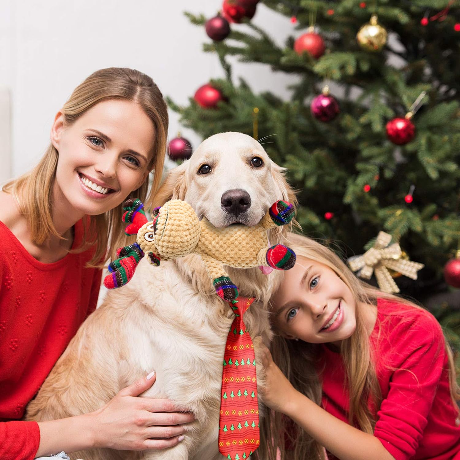 VWPTCHI teeth-cleaning toy supports dental play through engaging activity.