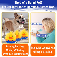 VYsTN Christmas interactive dog toy charging view demonstrates quick recharge for long play sessions.