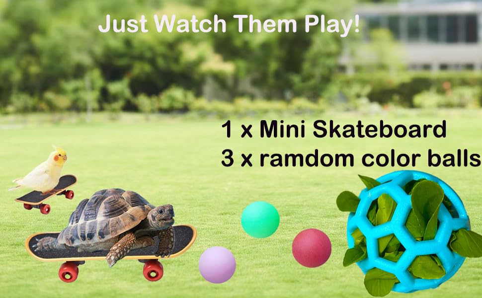 VZqola compact turtle harness for safe, controlled handling