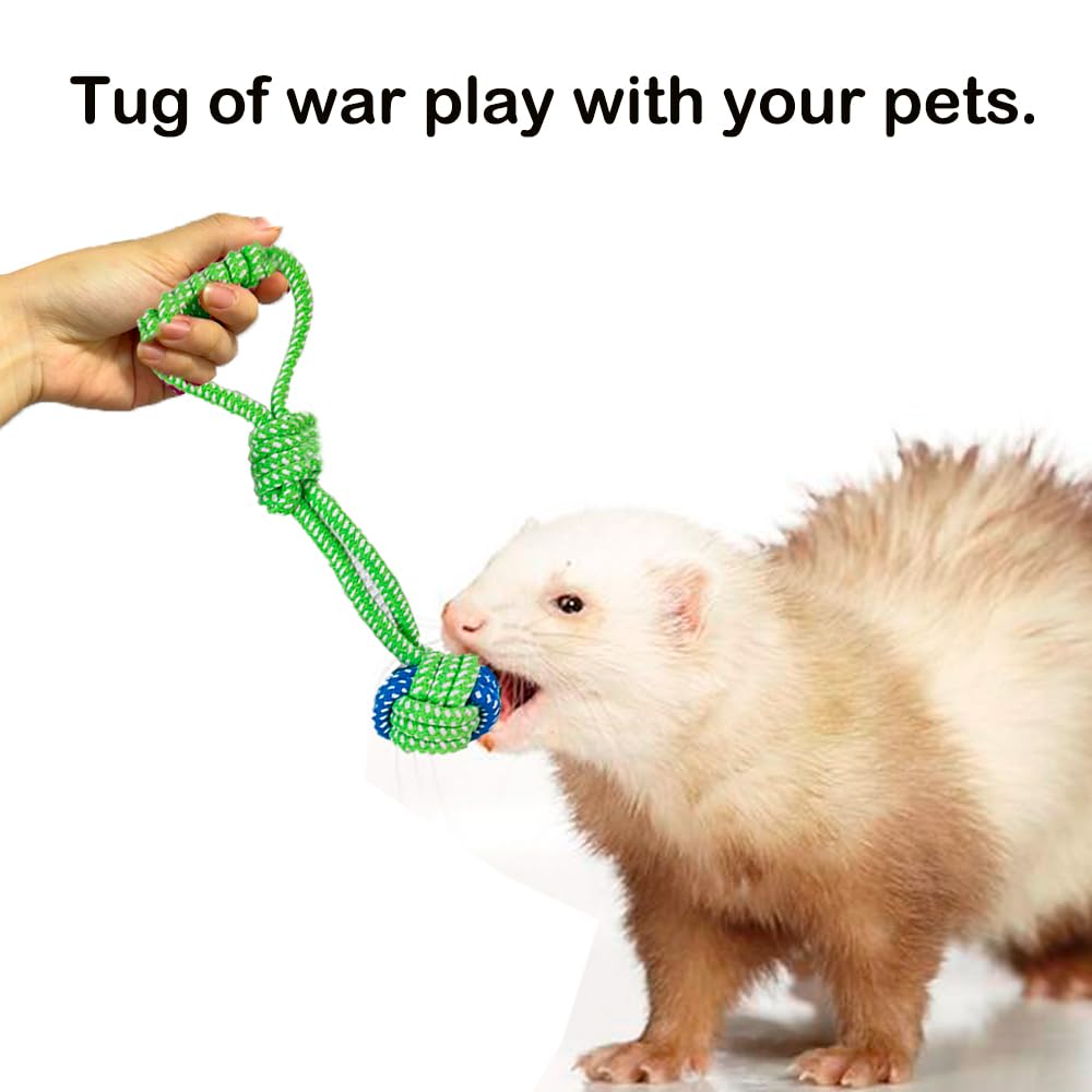 VZqola durable materials withstand regular chewing during active sessions.