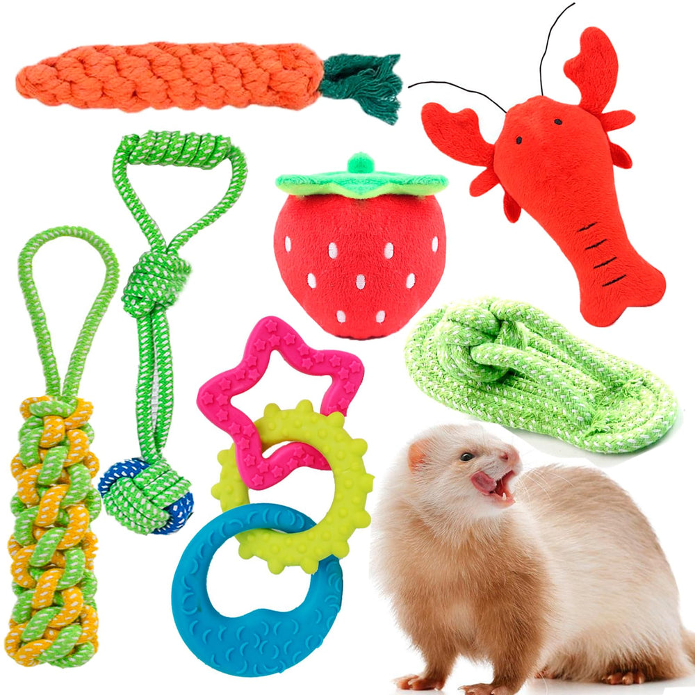 VZqola ferret chew toy set squeaker focus stimulates interactive play sessions.