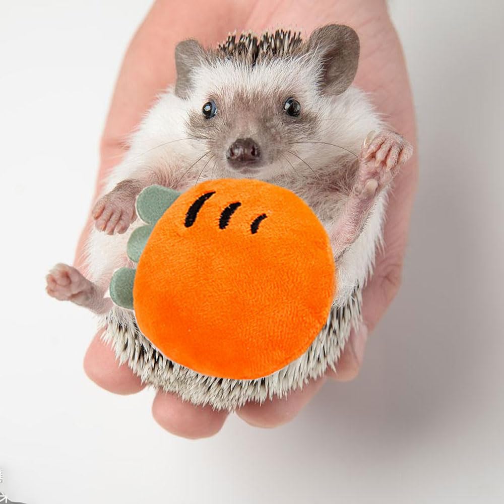 VZqola hedgehog bell toy encourages exploration with engaging sound.