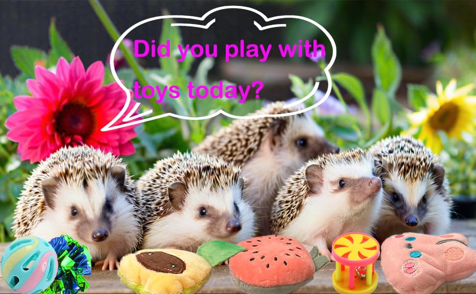 VZqola hedgehog cage accessories set keeps pets engaged during cage time