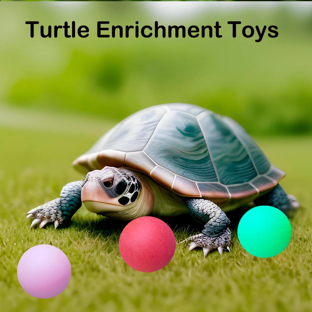 VZqola interactive feeder ball promoting mental stimulation during feeding