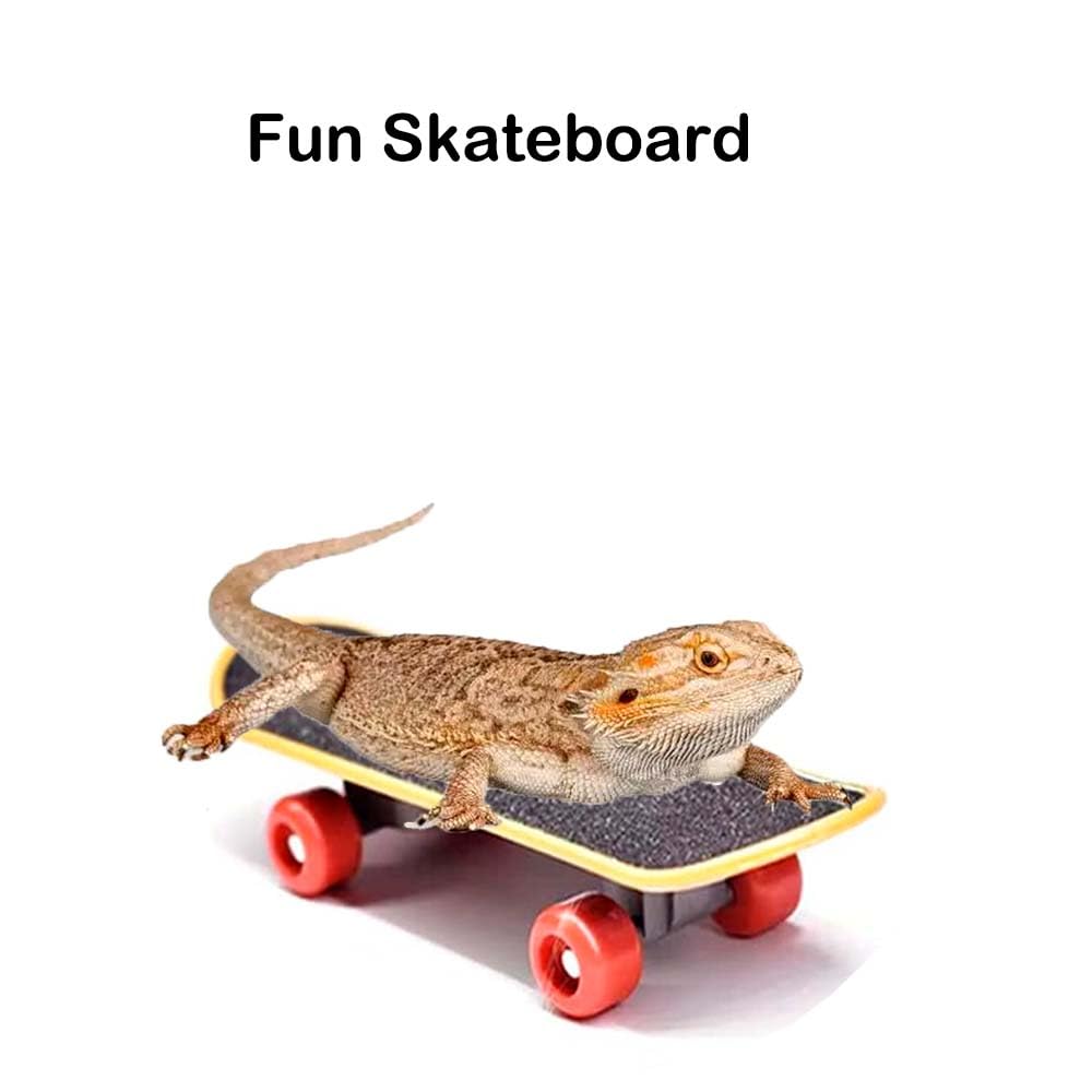 VZqola small pet terrarium decoration enhances habitat appeal and interest