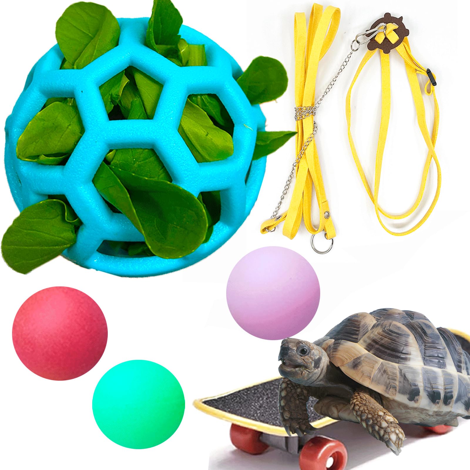 VZqola tortoise treat ball set with leash and board for engaging outdoor play