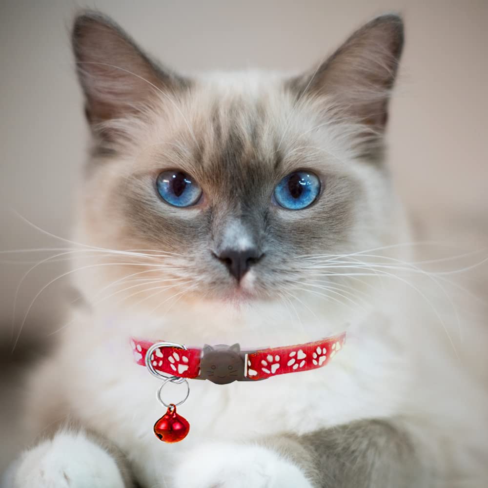 VZSRWGK adjustable collar fits cats and kittens from 19 to 32 cm.
