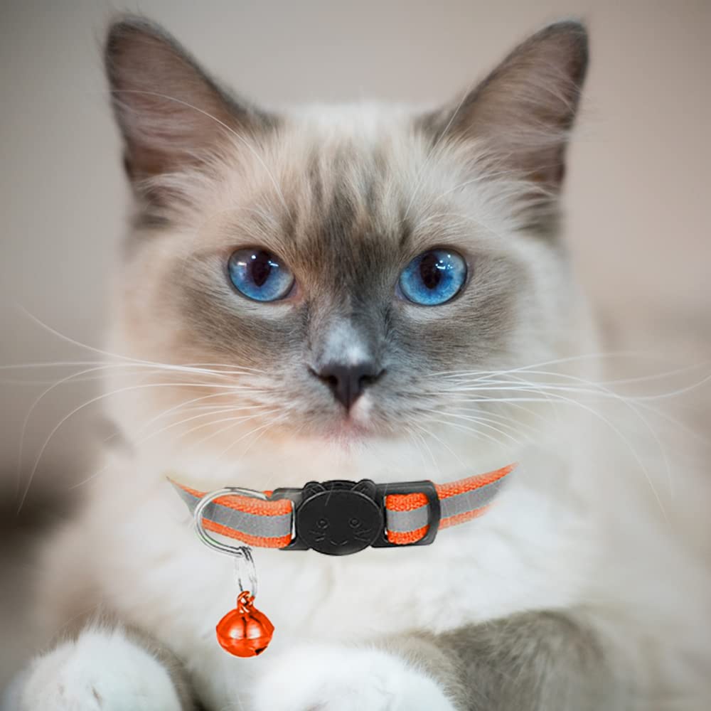 VZSRWGK cat collar with safety buckle for quick release and escape protection