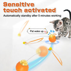 Waaiio cat toy ball three modes show slow fast and interactive play options.