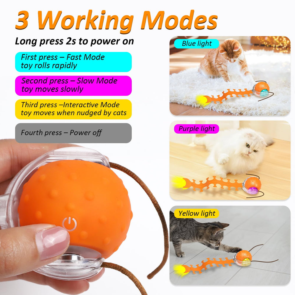 Waaiio floor-friendly auto toy demonstrates versatile indoor play on tile or carpet