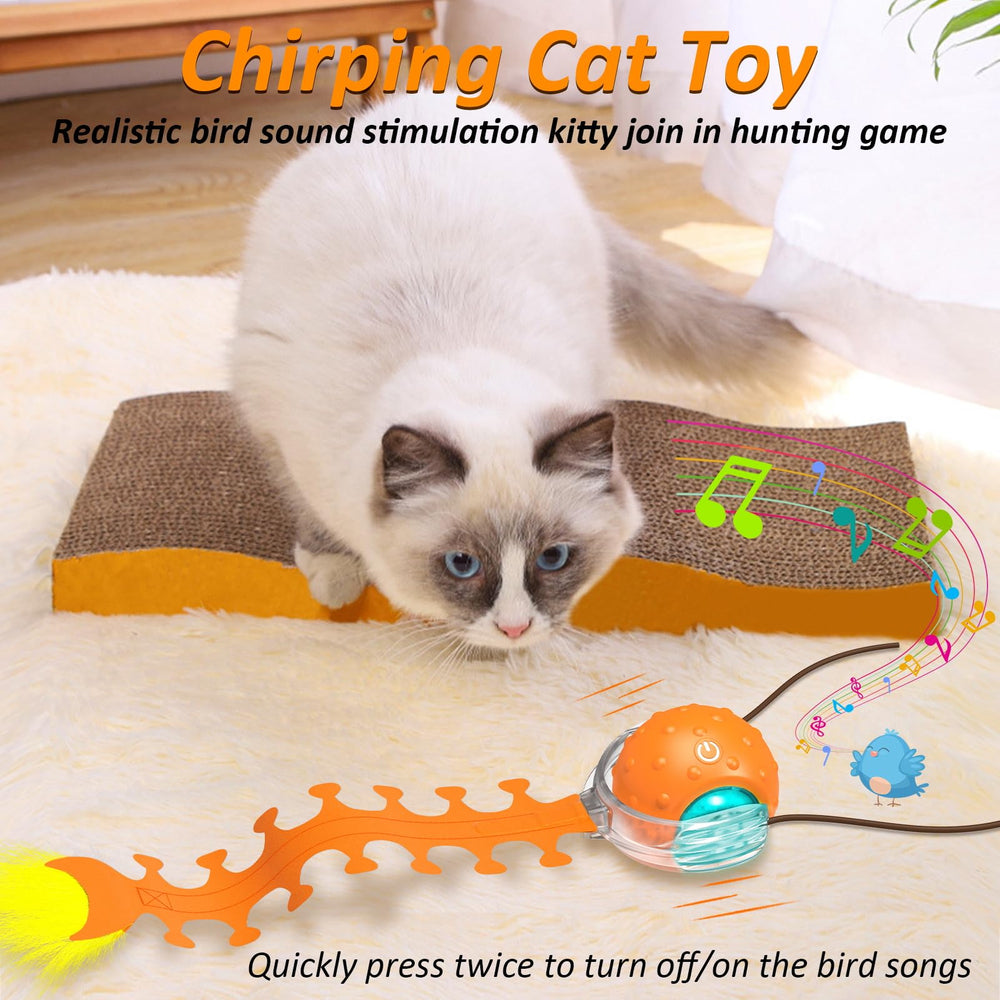 Waaiio motion-activated cat toy prompts touch-driven play for interactive fun