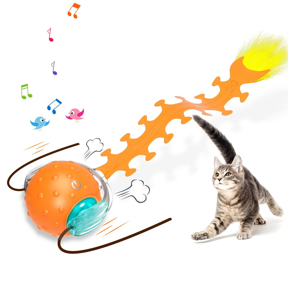 Waaiio interactive cat toy ball with centipede tail swinging to spark chasing instincts