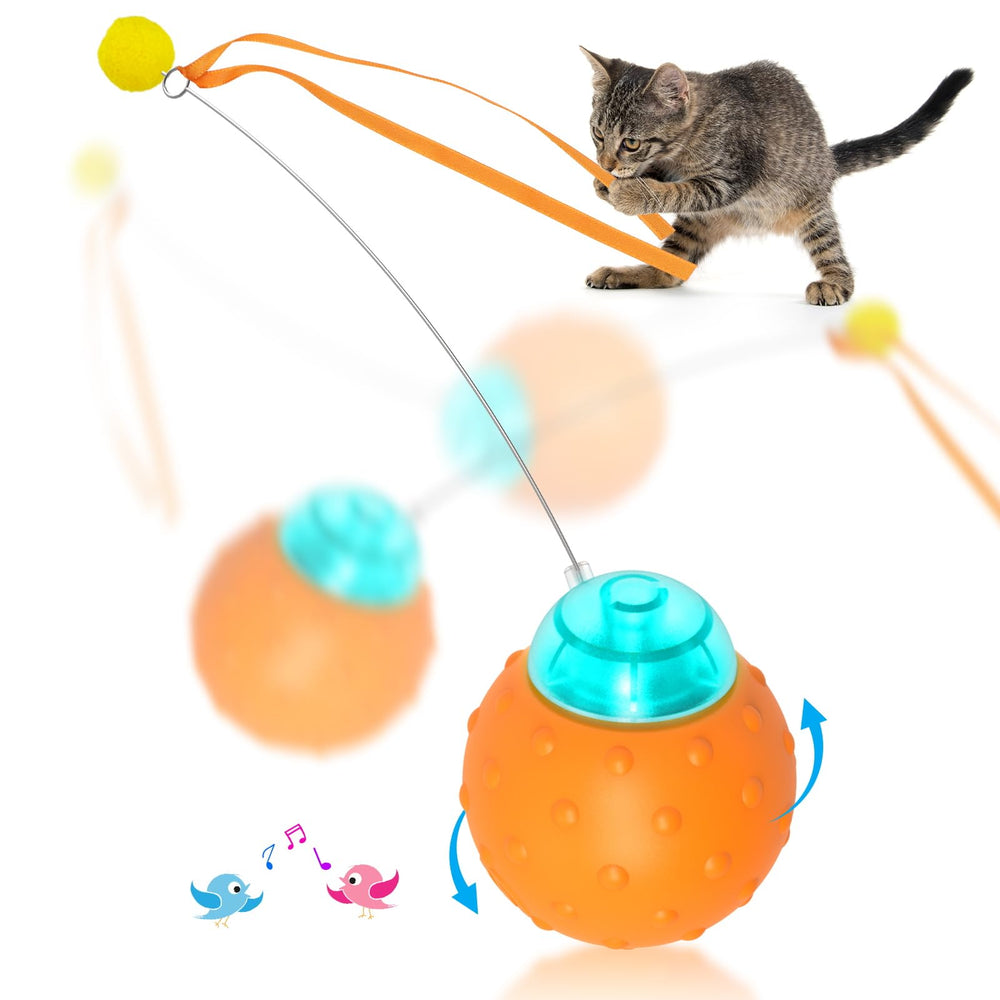Waaiio interactive cat toy ball chirping bird sparks indoor cat hunting fun.