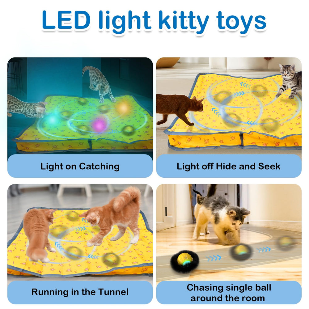 Waaiio kitty play package ready for gifting and home use