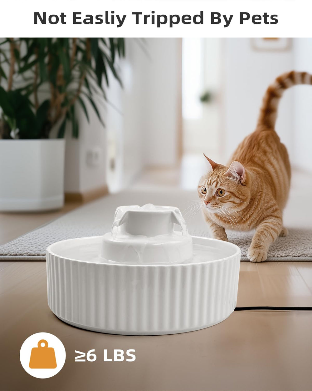 waatoos Ceramic Cat Fountain 2-1l capacity demonstrates ample water for multiple pets