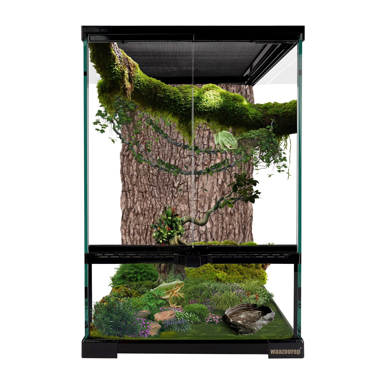waazoorep 11-gallon vertical tank front view shows compact footprint for geckos and small reptiles.