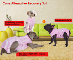 Wabdhaly cone-alternative design enables normal eating and play.