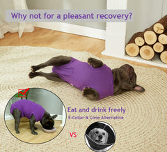 Wabdhaly recovery suit cone-alternative supports eating and gentle play