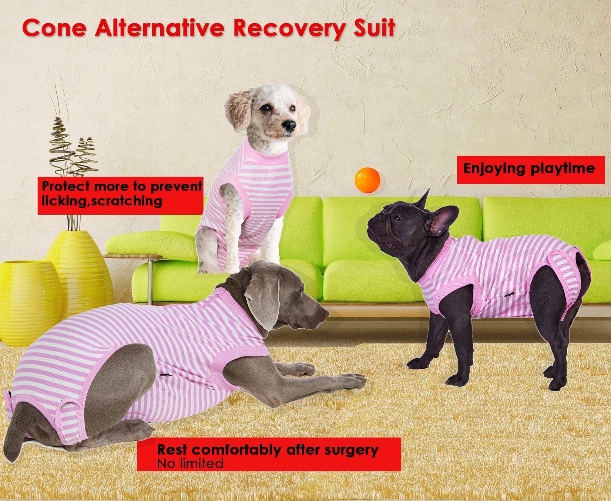 Wabdhaly Recovery Suit on a puppy during potty breaks without removing the garment.