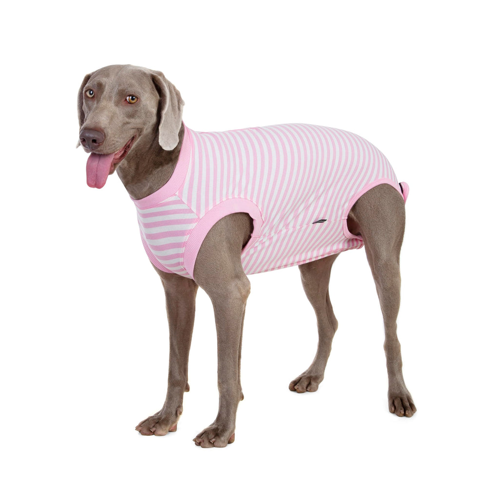 Wabdhaly recovery suit size medium shows ideal fit for mid-weight dogs.