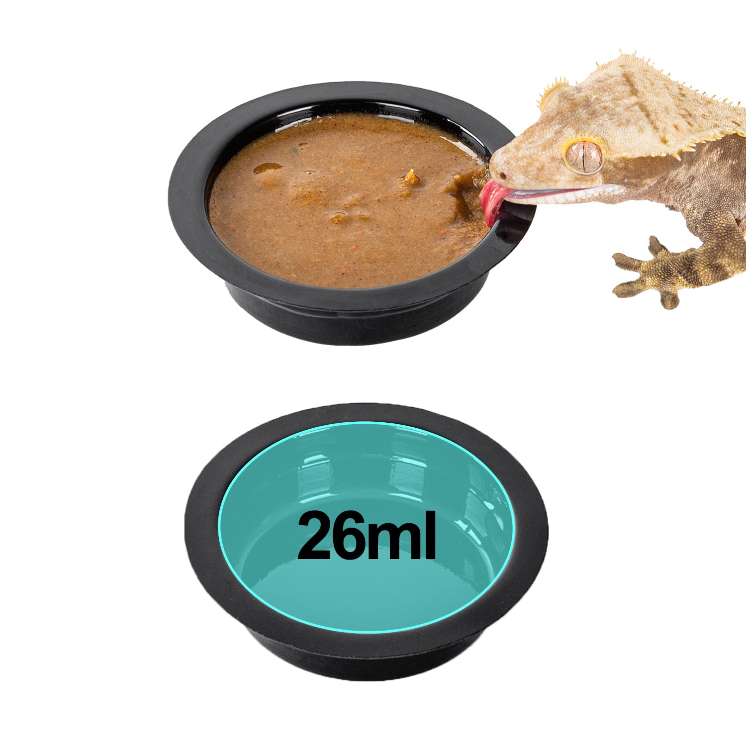 WACOOL gecko feeding ledge mounted on tank edge for stable meals.