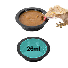 WACOOL gecko feeding ledge mounted on tank edge for stable meals.