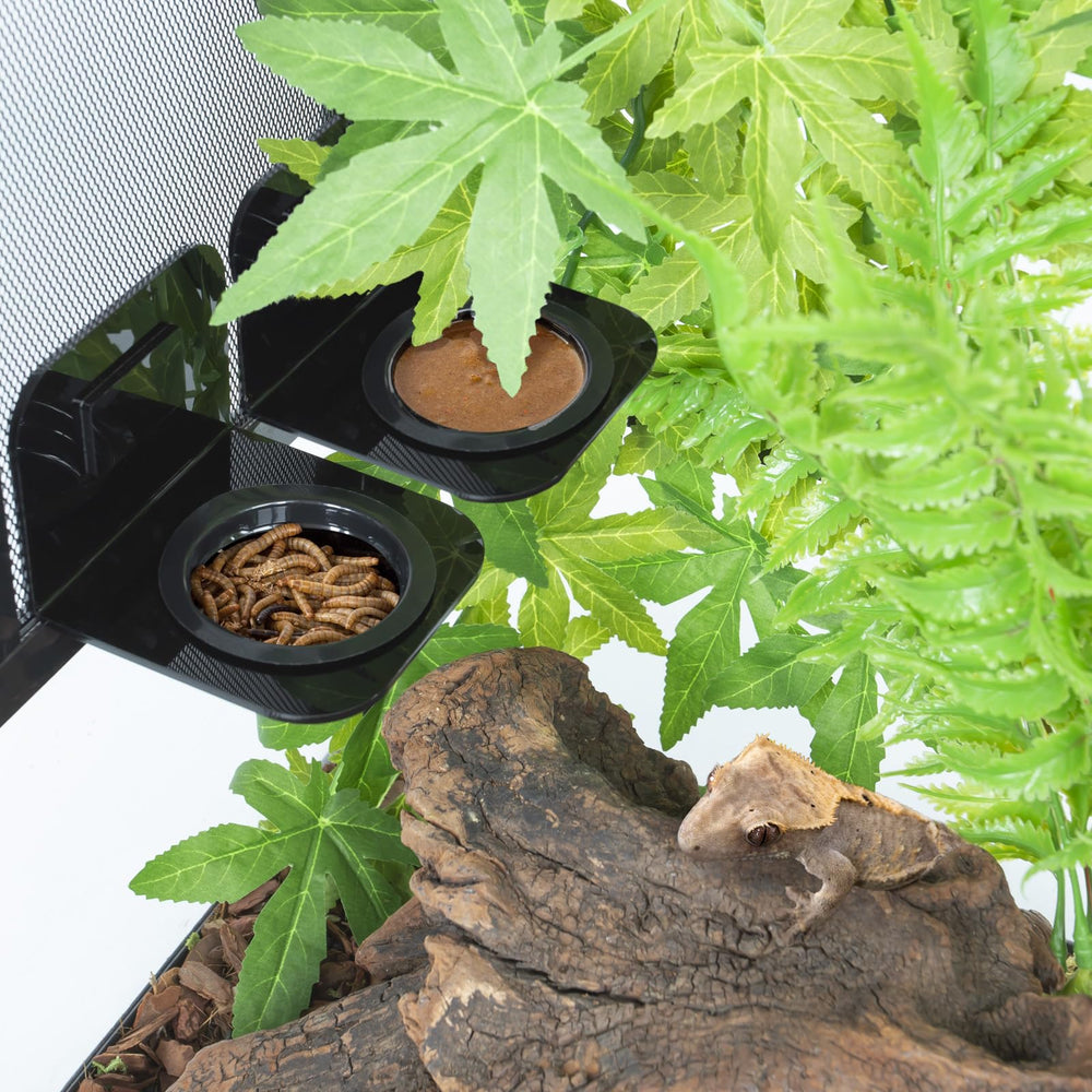 WACOOL magnetic reptile ledge side view demonstrates adjustable positioning for natural feeding layouts.