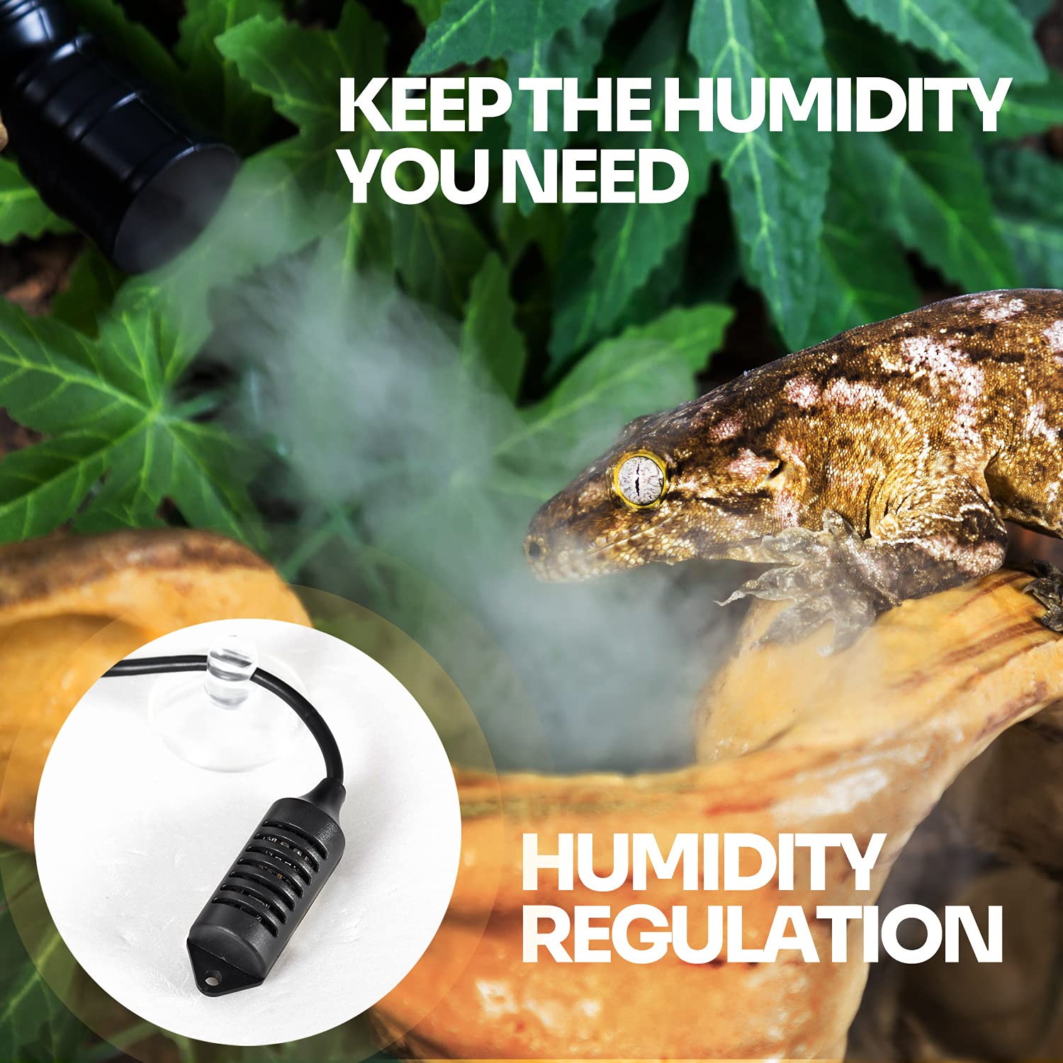 WACOOL dry-out protection auto-shuts off when water runs low