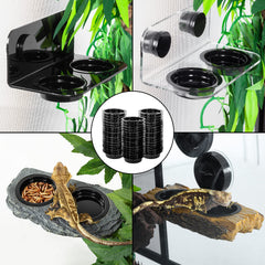 WACOOL feeding cups in use providing precise portions and reduced mess.