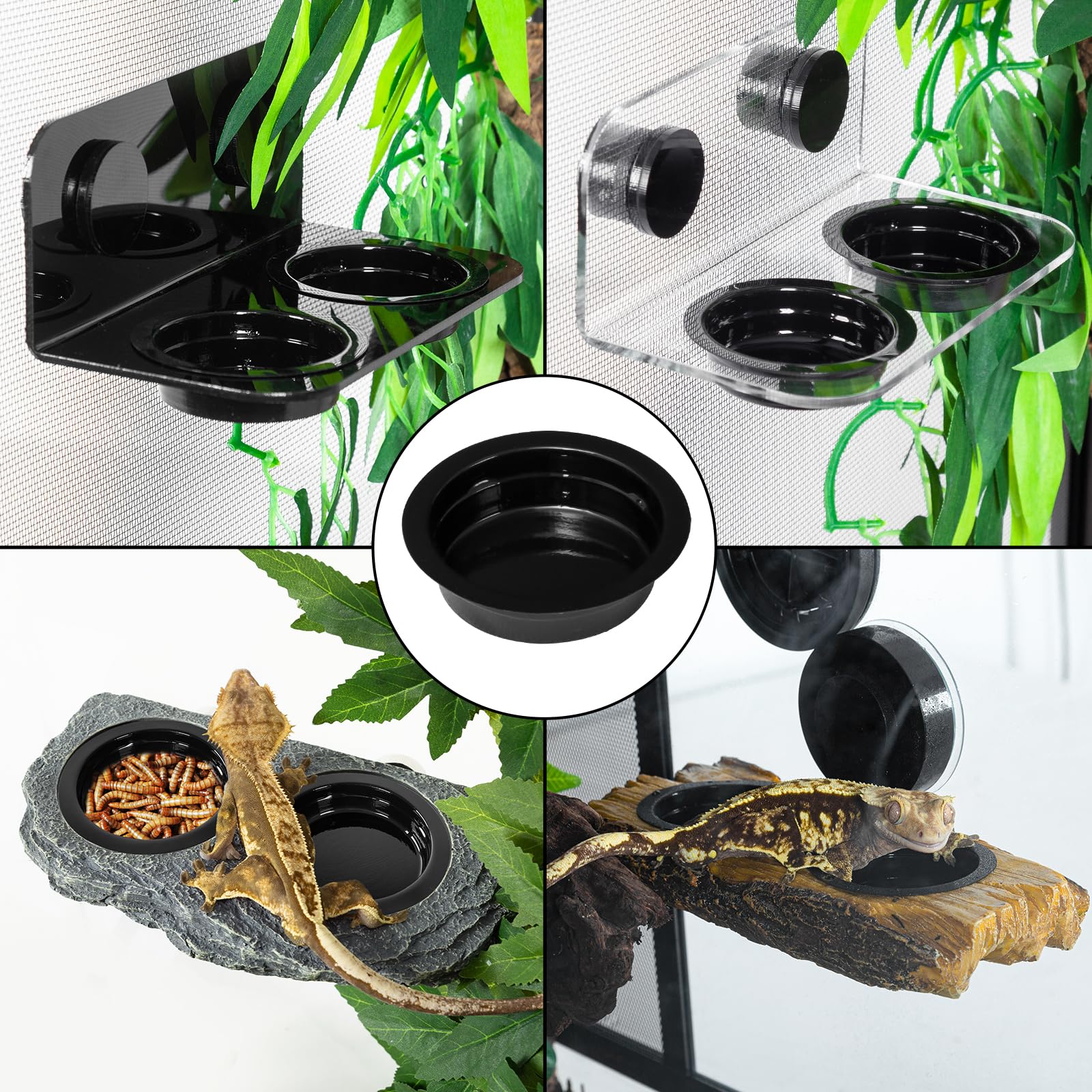 WACOOL versatile applicability image illustrates use in glass tanks and acrylic enclosures.