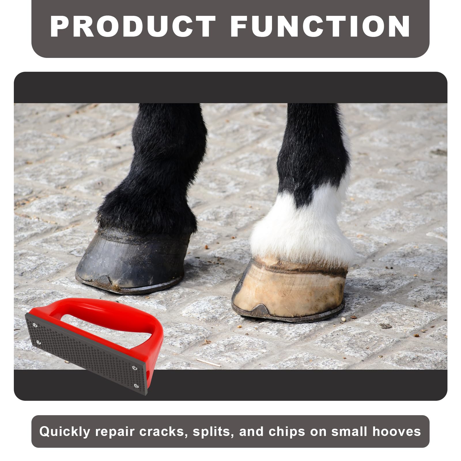 Wadoy Mini Hoof Rasp used across horses, goats, and donkeys.