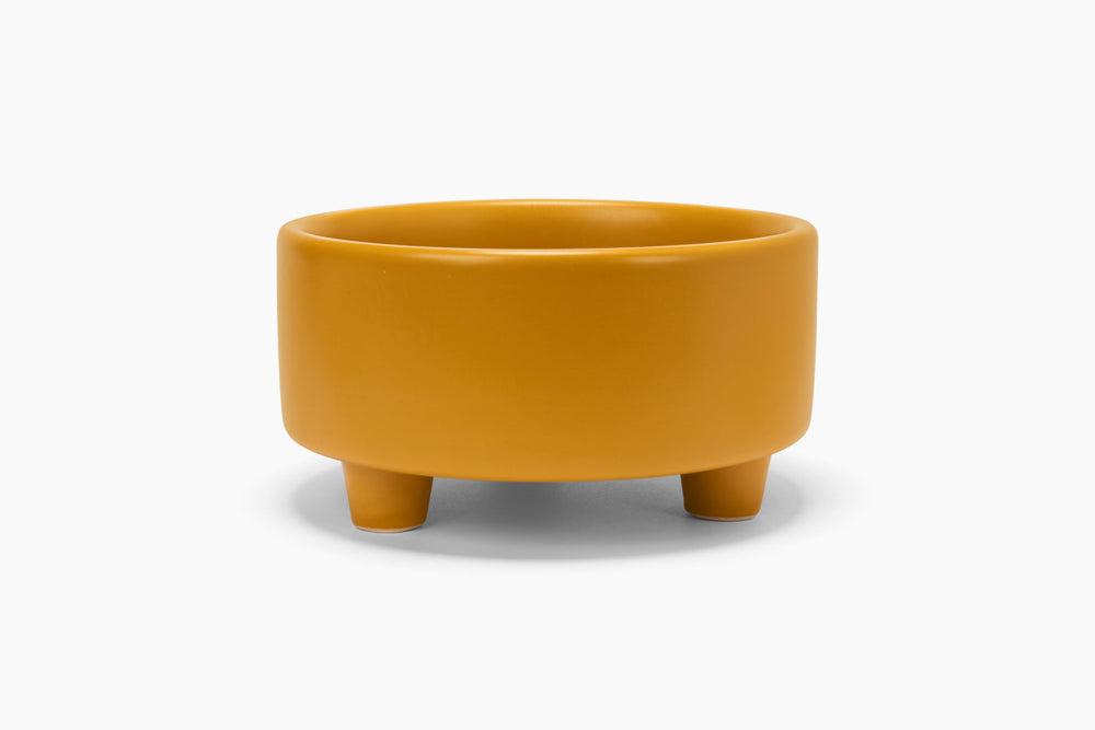 Waggo Uplift dishwasher-safe icon indicating easy cleaning and convenience