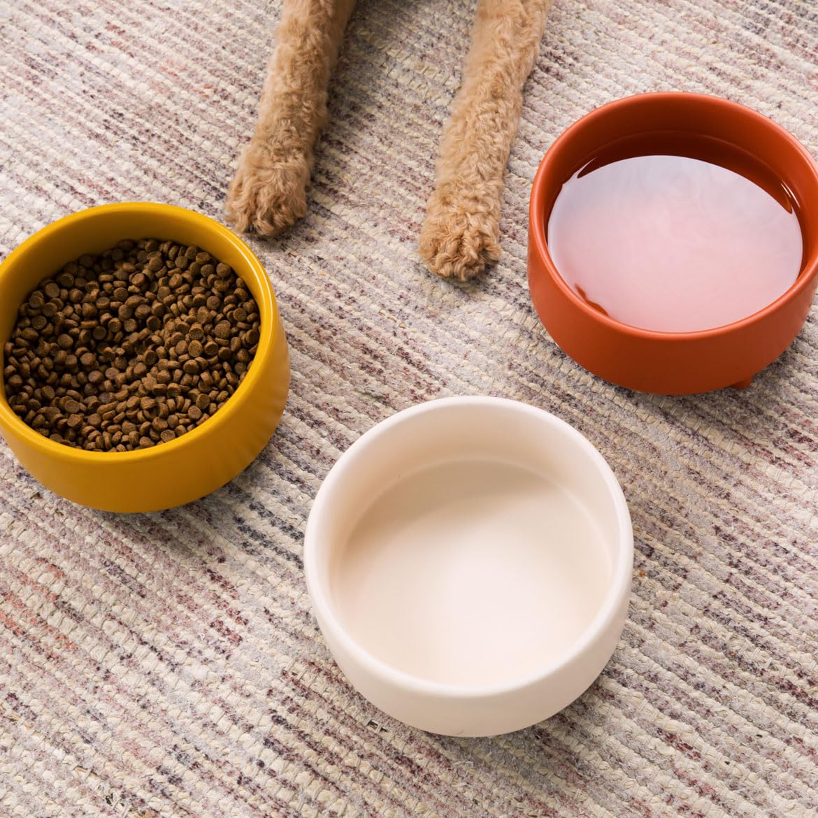 Waggo Uplift medium 4-cup bowl angled for easy scooping and stable feeding