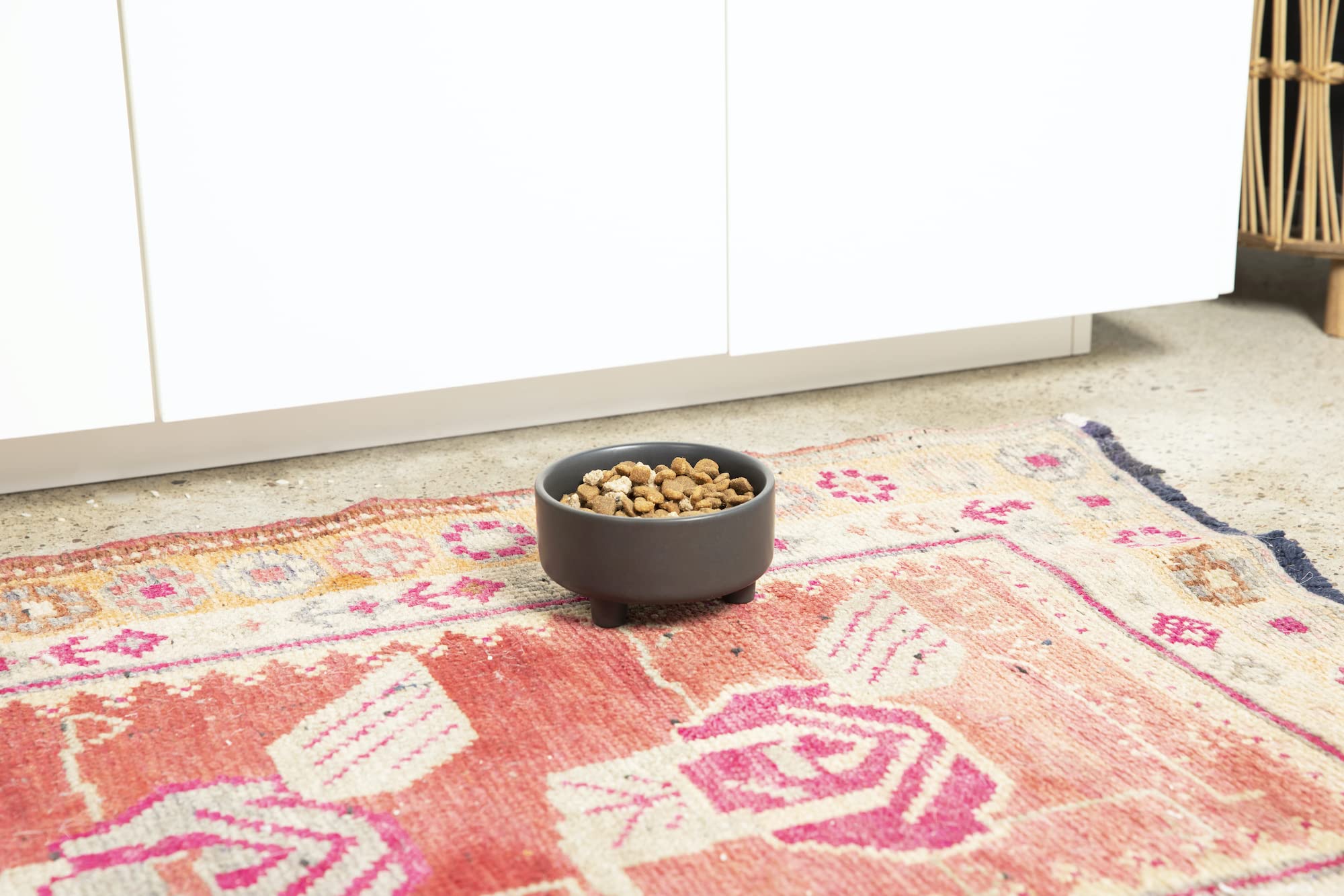 Waggo Uplift bowl handles water refills.