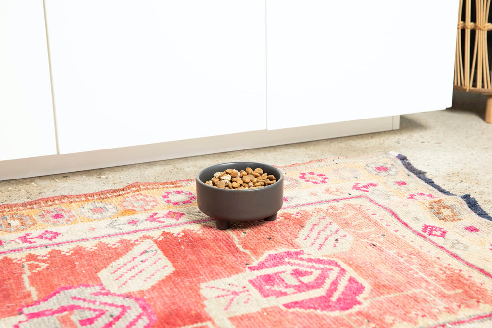 Waggo Uplift bowl handles water refills.
