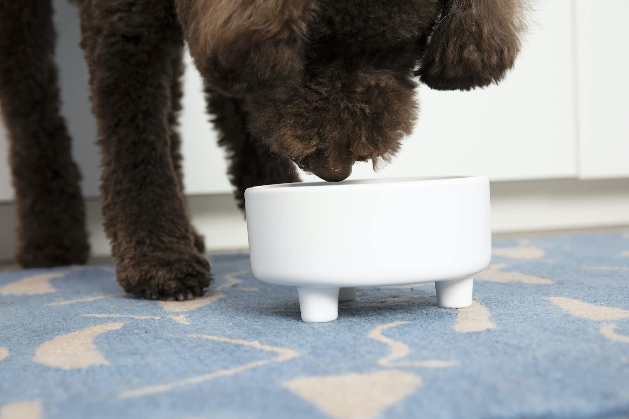 Waggo Uplift elevated-feeder legs stabilize meals during use.