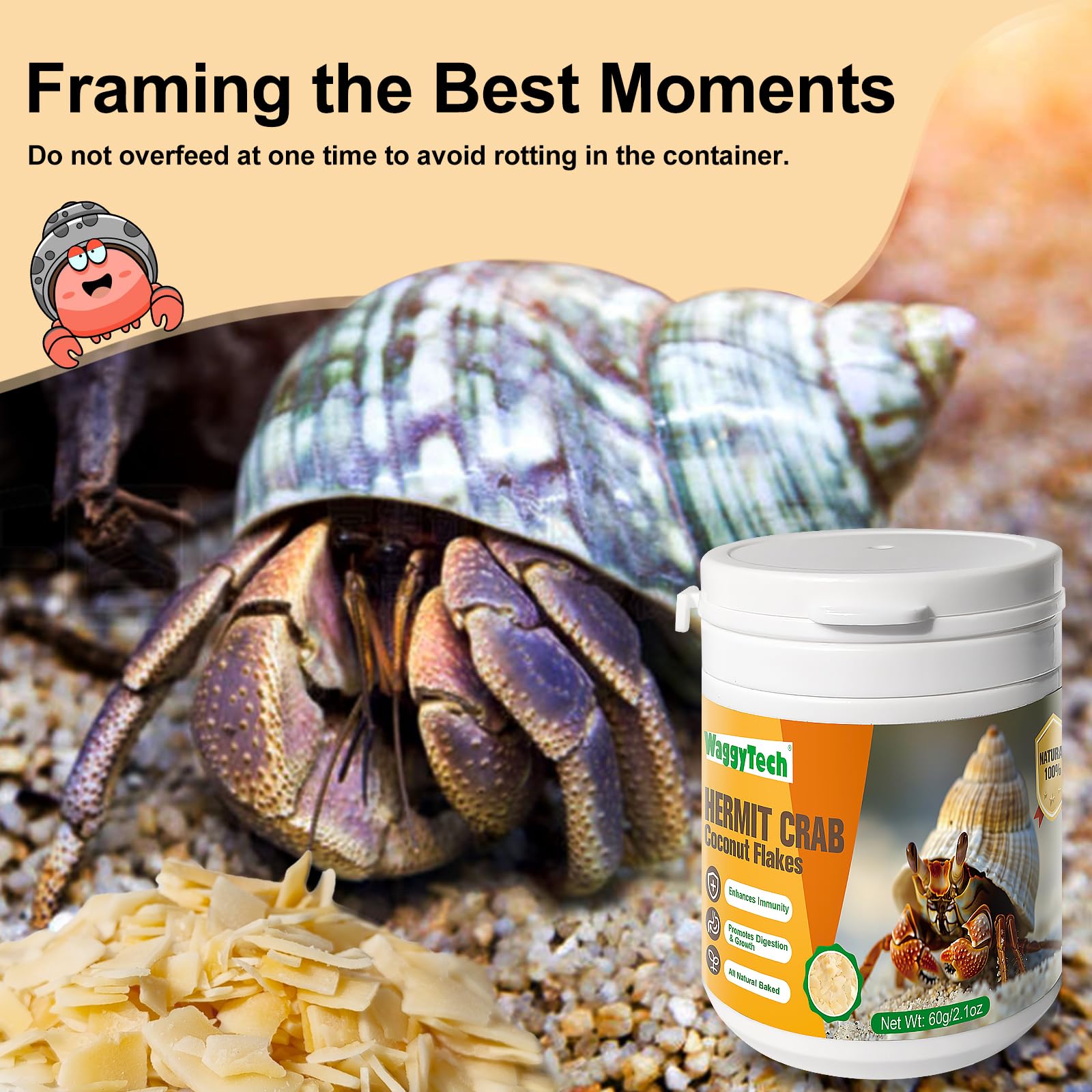 WaggyTech Hermit Crab Food no-soak direct-feed demonstrates convenient feeding.