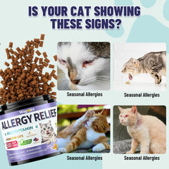 Wagmee Cat Allergy Relief Chews tin label highlights probiotic blend and omega-3 for skin health