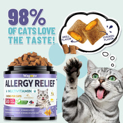 Wagmee Cat Allergy Relief Chews treat bowl scene indicates tasty daily itch relief