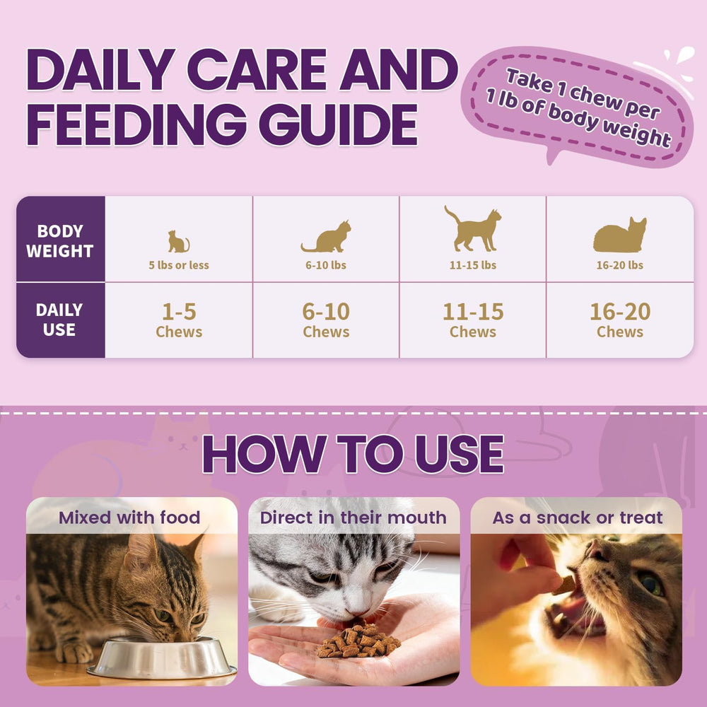 Wagmee cat multivitamin serving time with treat-friendly chews over a bowl