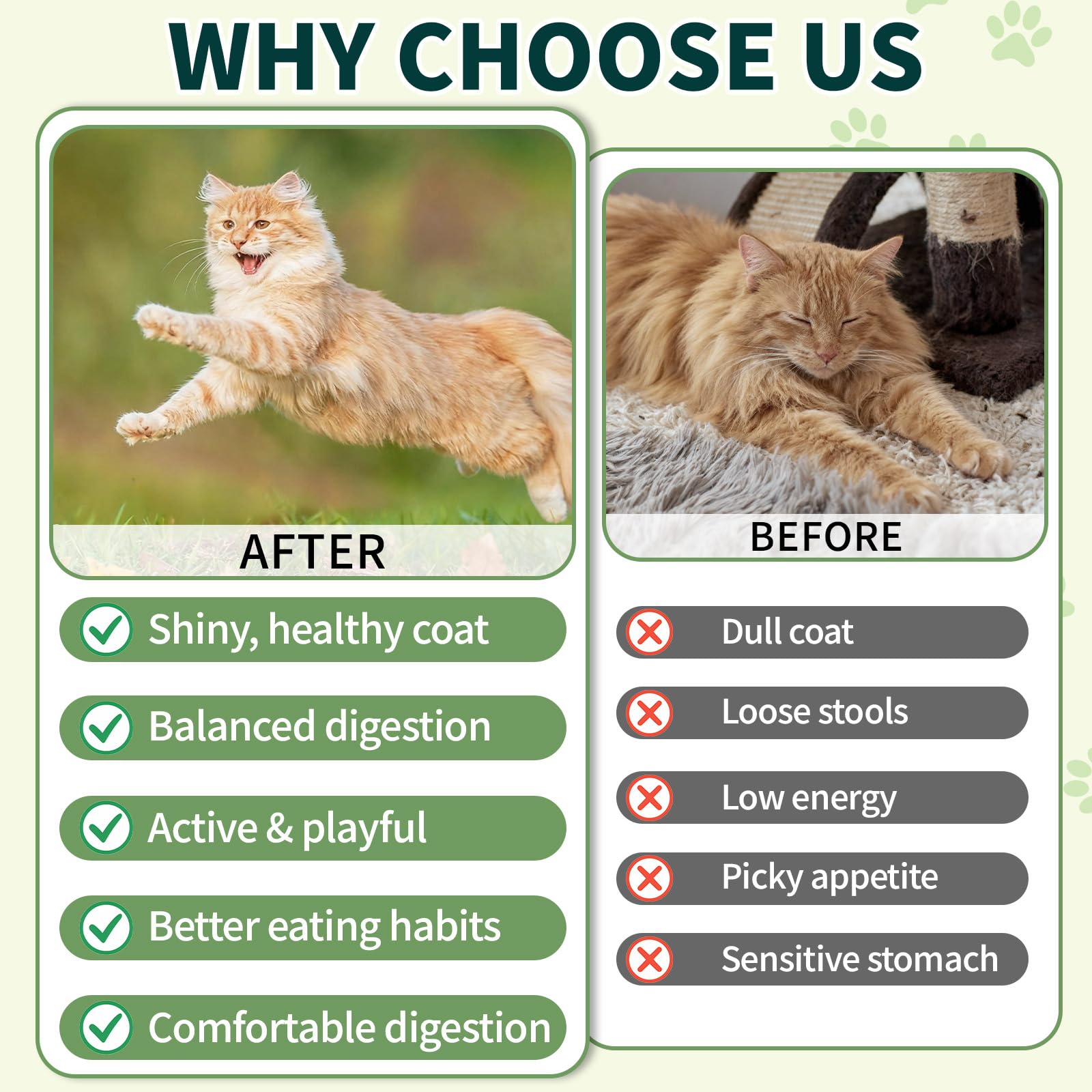 Wagmee Cat Probiotics Creamy-Center detail highlights texture that cats enjoy during daily treats.