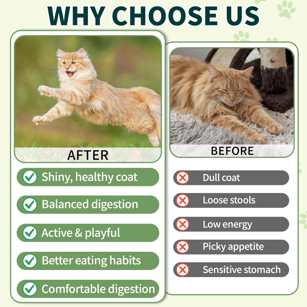 Wagmee Cat Probiotics Creamy-Center detail highlights texture that cats enjoy during daily treats.