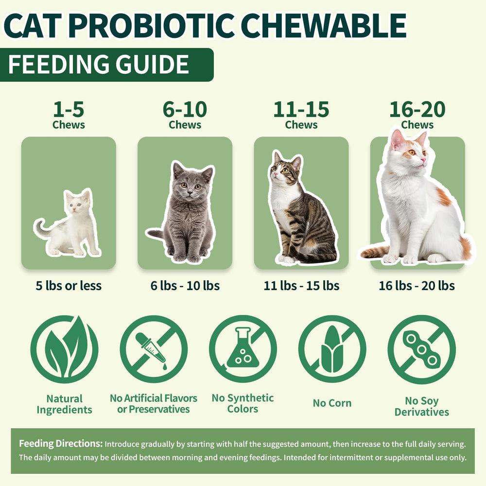 Wagmee Cat Probiotics Multi-Strain image illustrates balanced gut flora for regular digestion.