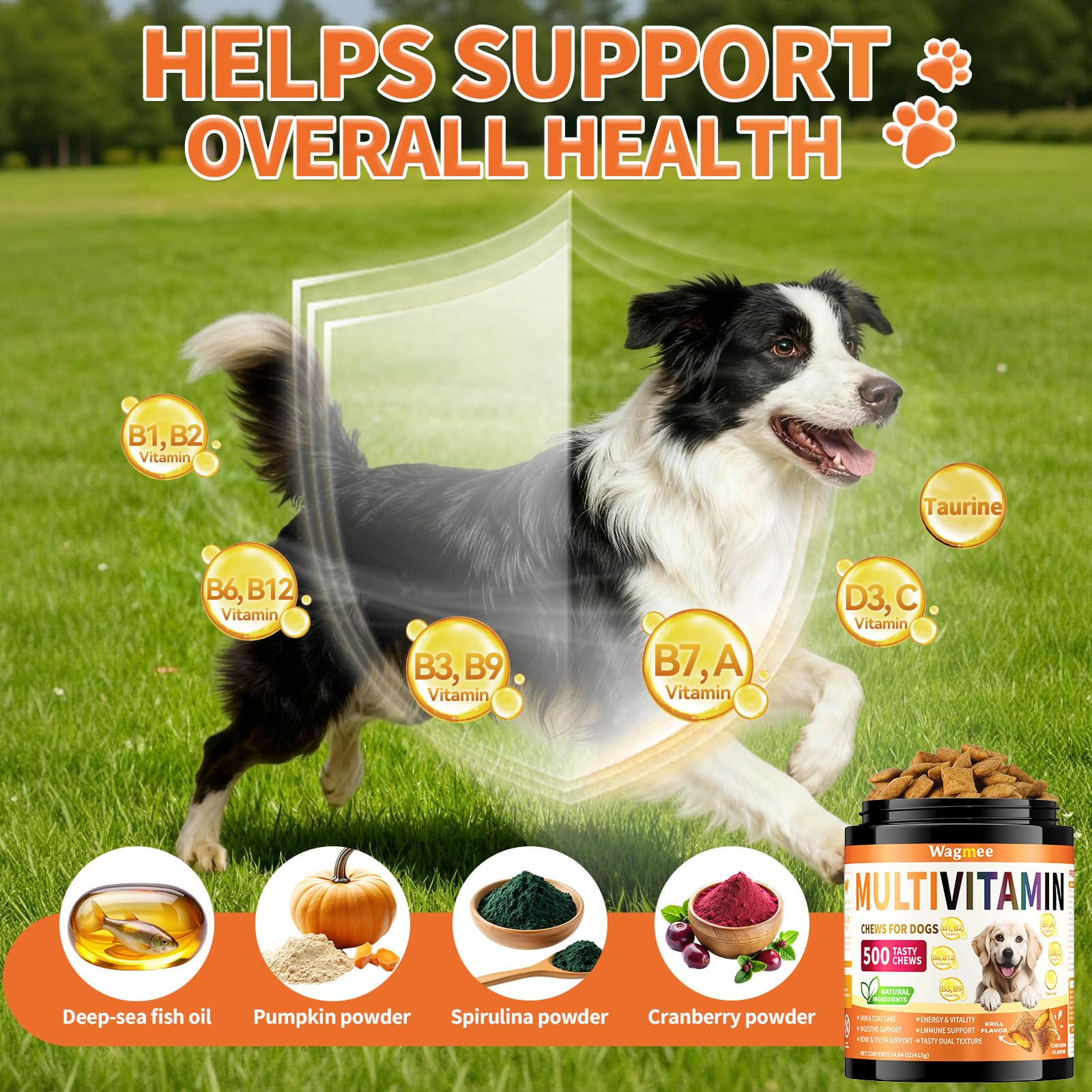 Detalle de taurina y omega-3 en Wagmee para salud general.